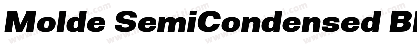 Molde SemiCondensed Black Italic字体转换